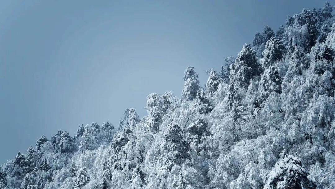 服务动态|青海6部门开展“城暖农民工”活动